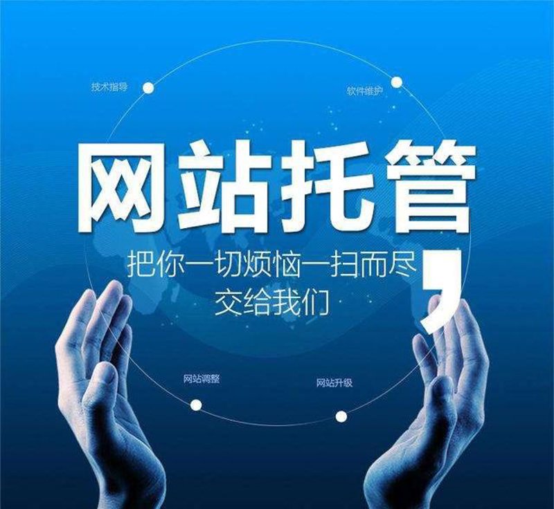 SEO站群在互联网营销中的作用与演变