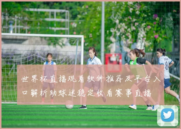 世界杯直播观看软件推荐及平台入口解析助球迷稳定收看赛事直播
