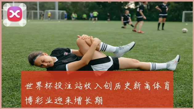 世界杯投注站收入创历史新高体育博彩业迎来增长期